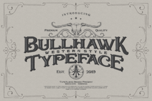 Bullhawk Display Font Review