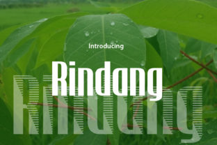 Font Choice That Stands Out: Rindang for Modern Web Design